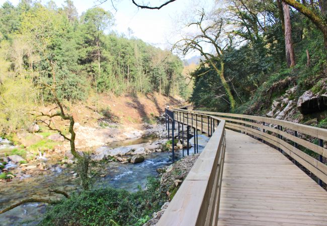 Apartamento em Terras de Bouro - Casa da Fatinha Apartamento em Terras de Bouro - Casa da Fatinha