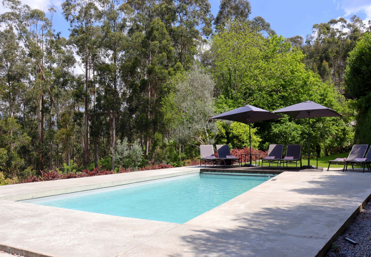 Villa em Vieira do Minho - Casa de Luxo privada com piscina