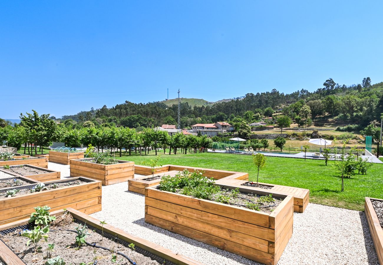 Casa em Vieira do Minho - Casas D' Além 3