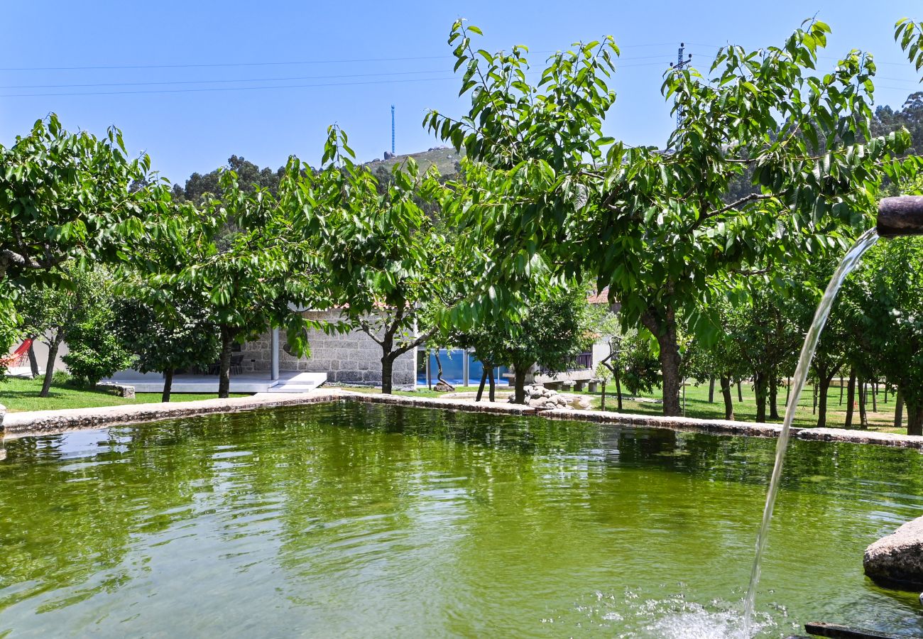 Casa em Vieira do Minho - Casas D' Além 3