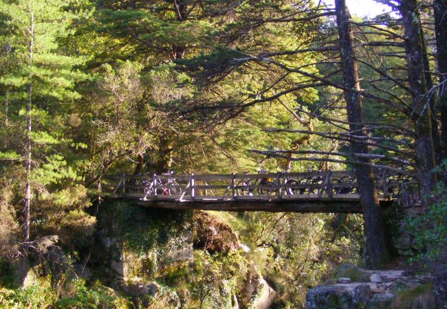 Cottage in Terras de Bouro - Casa da Mota Cottage in Terras de Bouro - Casa da Mota