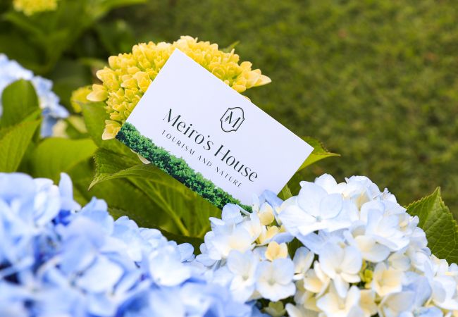 Cottage in Amares - Meiro’s House Tourism and Nature Cottage in Amares - Meiro’s House Tourism and Nature