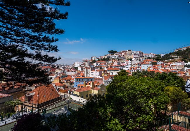 Apartment in Lisboa - L1.9 - DREAM VIEW APARTMENT LISBON Apartment in Lisboa - L1.9 - DREAM VIEW APARTMENT LISBON
