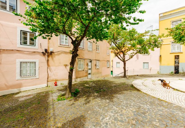 Studio in Lisboa - L1.1 - LISBON DOWNTOWN TINY STUDIO 1 Studio in Lisboa - L1.1 - LISBON DOWNTOWN TINY STUDIO 1