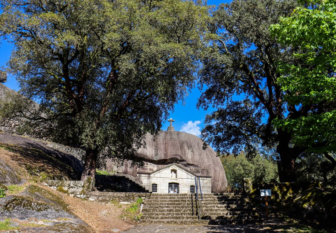 Farm stay in Vieira do Minho - Laranjeira Tourism Rural House - pet friendly and private pool