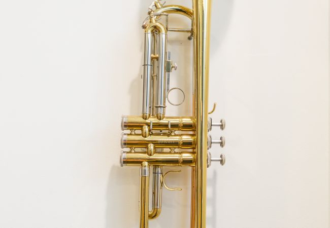 Rent by room in Lisboa - A1.3 I BRAHMS MUSIC GUEST HOUSE Rent by room in Lisboa - A1.3 I BRAHMS MUSIC GUEST HOUSE