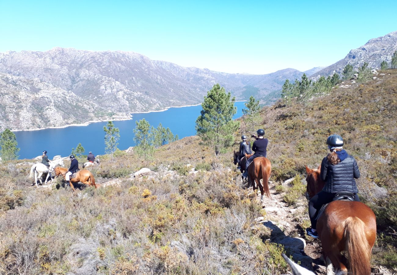 Cottage in Terras de Bouro - Rural house with swimming pool