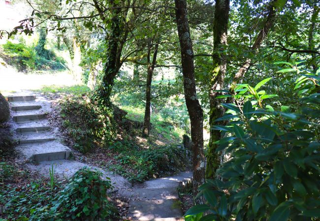 Apartment in Gerês - Apartamento Garrano - Casas Barca do Rio - Gerês Apartment in Gerês - Apartamento Garrano - Casas Barca do Rio - Gerês