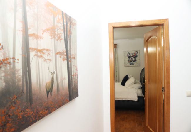 House in Gerês - Casa Panorâmica Gerês T4 House in Gerês - Casa Panorâmica Gerês T4