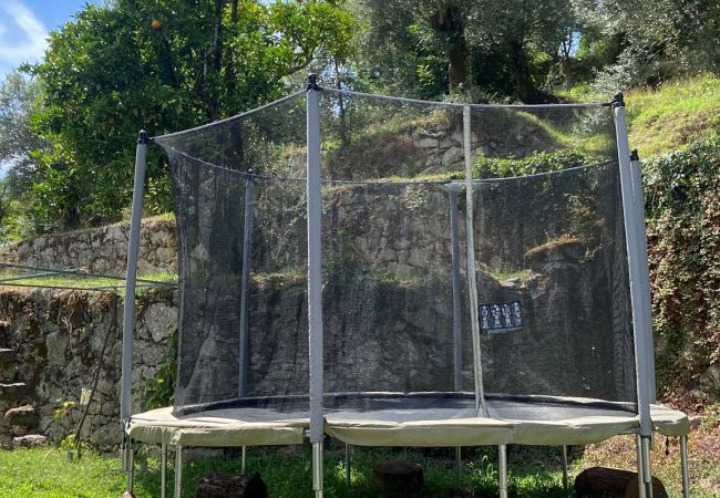 House in Amares - Quinta Rolim do Bouro House in Amares - Quinta Rolim do Bouro