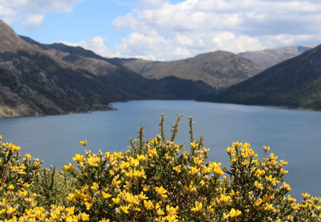 Casa rural en Campo do Gerês - Casa João Vilar I Casa rural en Campo do Gerês - Casa João Vilar I
