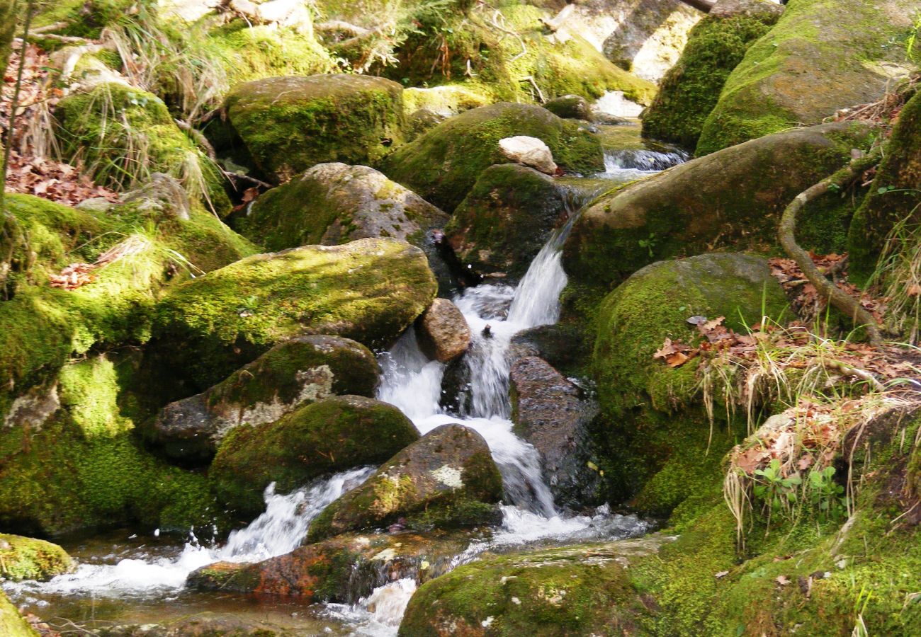 Casa rural en Campo do Gerês - Casa rústica a las puertas del Parque Nacional Peneda-Gerês