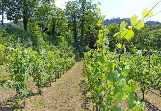 Casa rural en Terras de Bouro - Casa Roupar Casa rural en Terras de Bouro - Casa Roupar