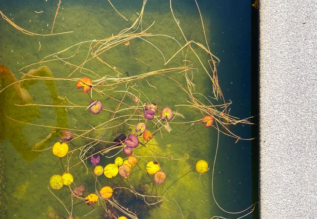 Casa rural en Monção - Casa da Terrada Casa rural en Monção - Casa da Terrada