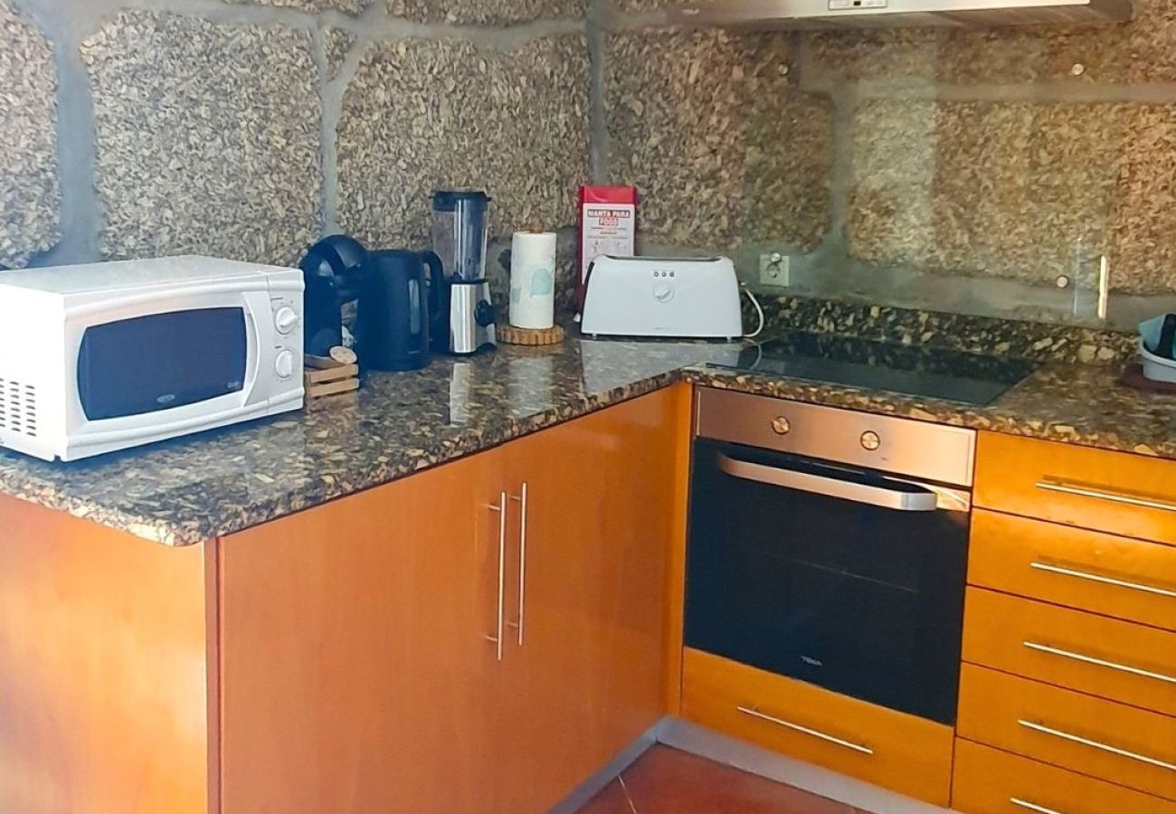 Agroturismo en Vieira do Minho - Casa da Laranjeira Turismo Rural - pet friendly y piscina privada