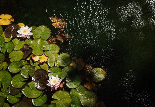 Casa en Vila Verde - Quinta da Ponte Casa en Vila Verde - Quinta da Ponte