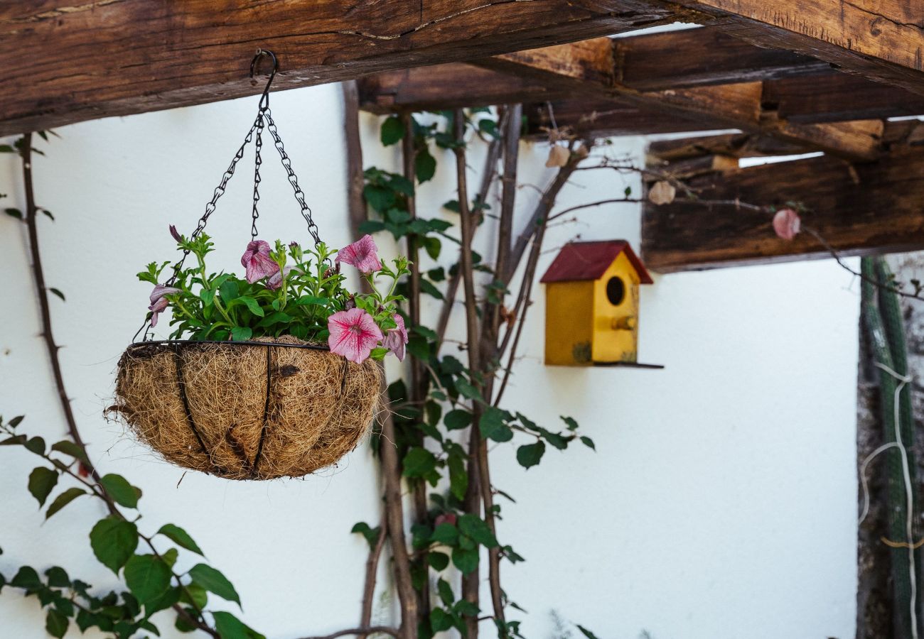 Casa en Vila Verde - Quinta da Ponte Turismo Rural